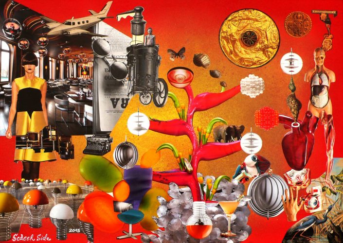 ANATOMIC MACHINERY (Seeder Collage. September 2015)