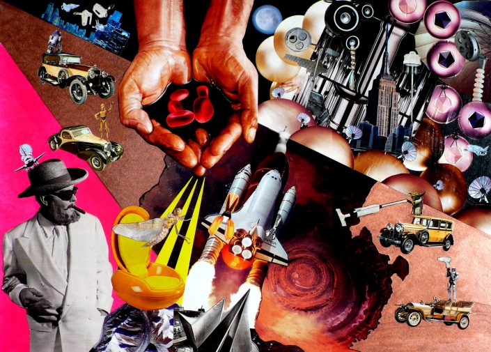 COCOON COALITION (Seeder Collage. April 2009)