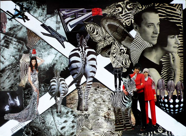 ZEBRA WALKS (Seeder Collage. March 2012)