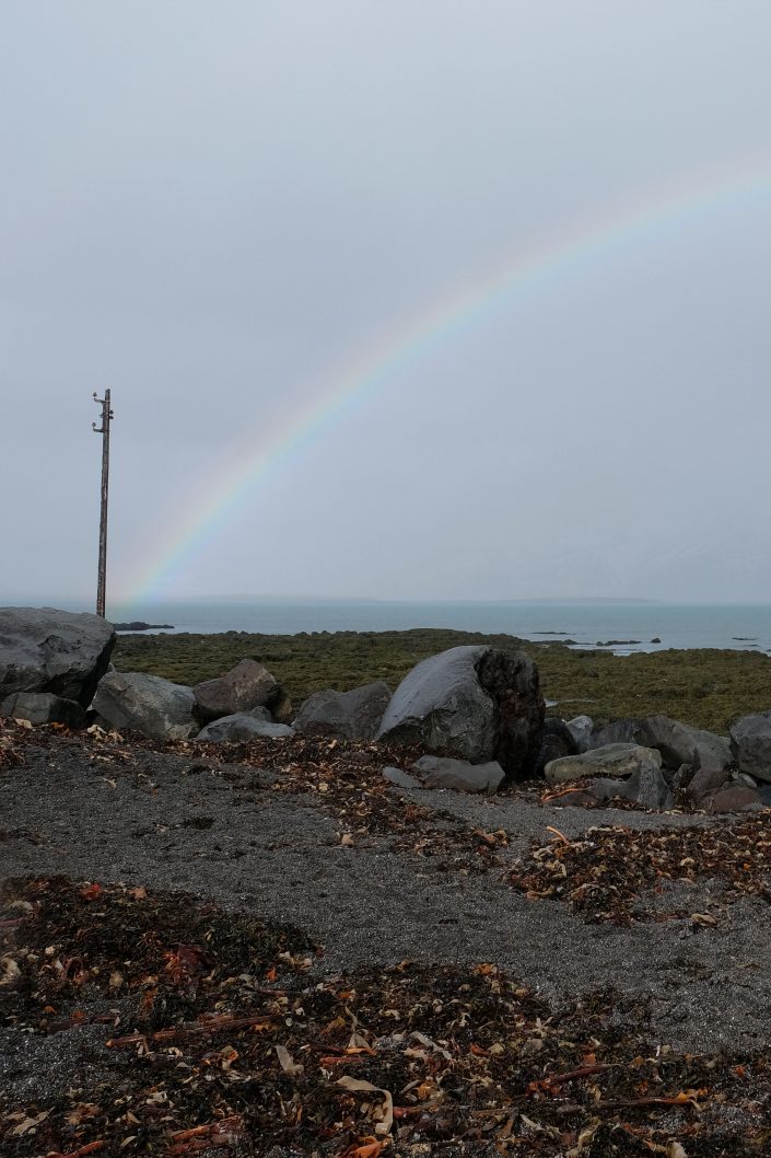 Melting Ice - Reykjavik Grötta Rainbow (Iceland) - 2026